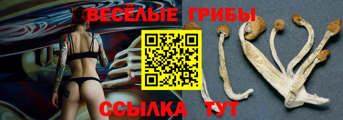 Галлюциногенные грибы Magic Shrooms  Вход с VPN  Псилоцибиновые грибы Cubensis  Тихвин 